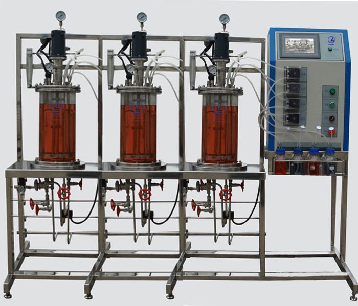 LG--DJE系列 多聯(lián)平行機(jī)械攪拌玻璃發(fā)酵罐 